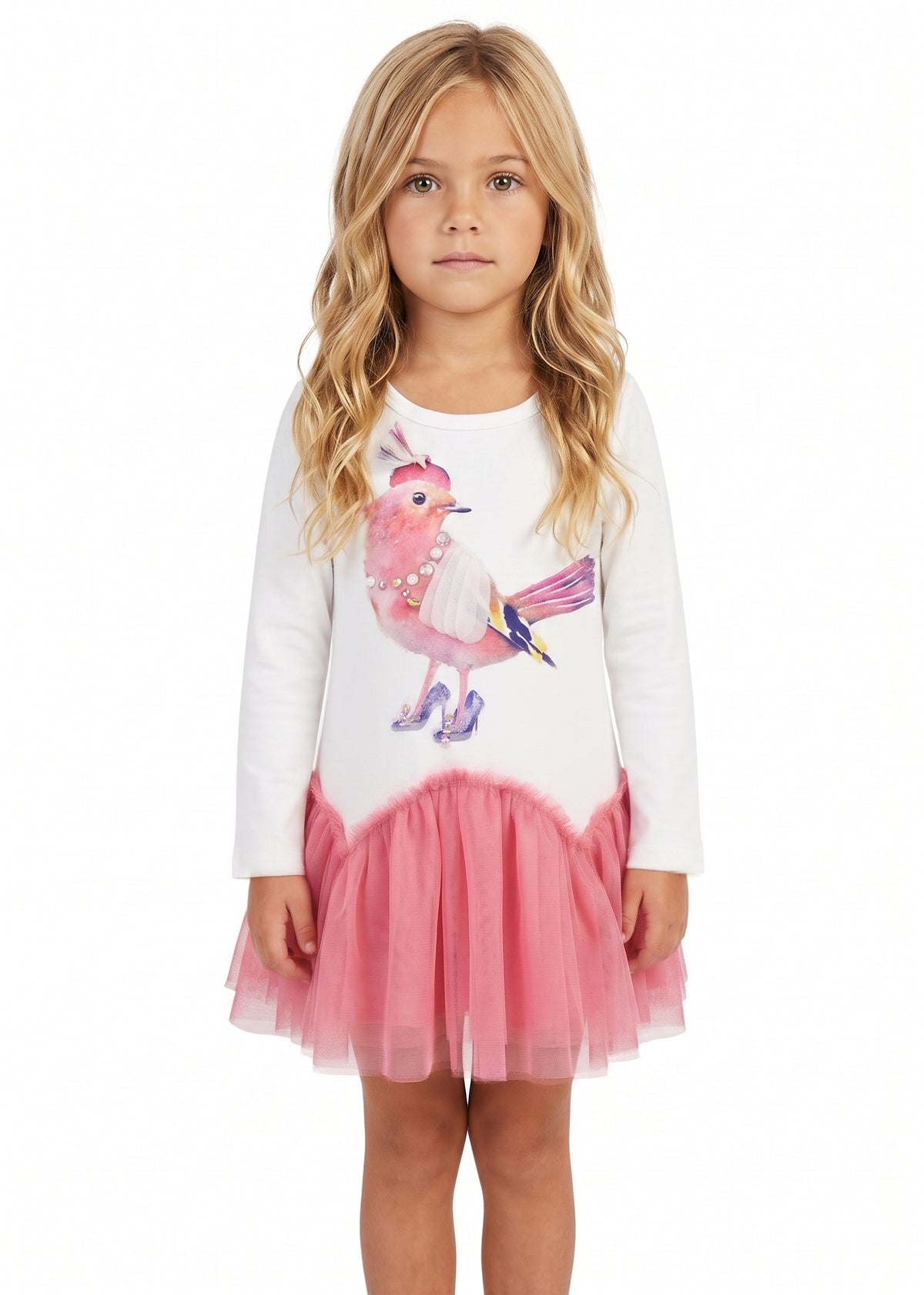 DROP WAIST DRESS WITH (FANCY BIRD) PRINT AND MESH SKIRT
