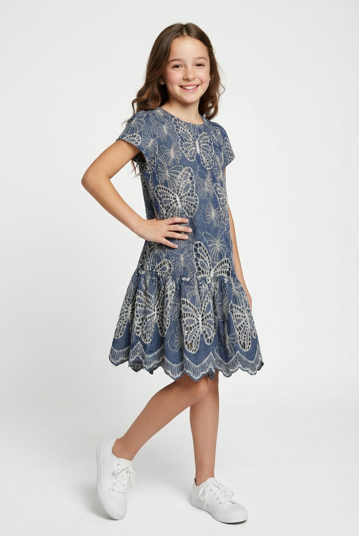 BUTTERFLY EMBROIDERED CHAMBRAY DRESS