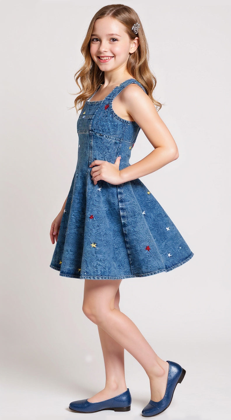 FIT AND FLARE EMBROIDERY STAR DRESS