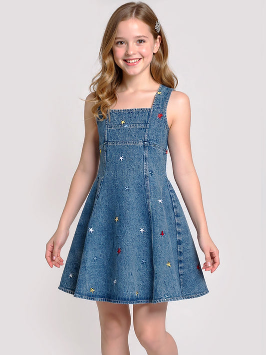 FIT AND FLARE EMBROIDERY STAR DRESS