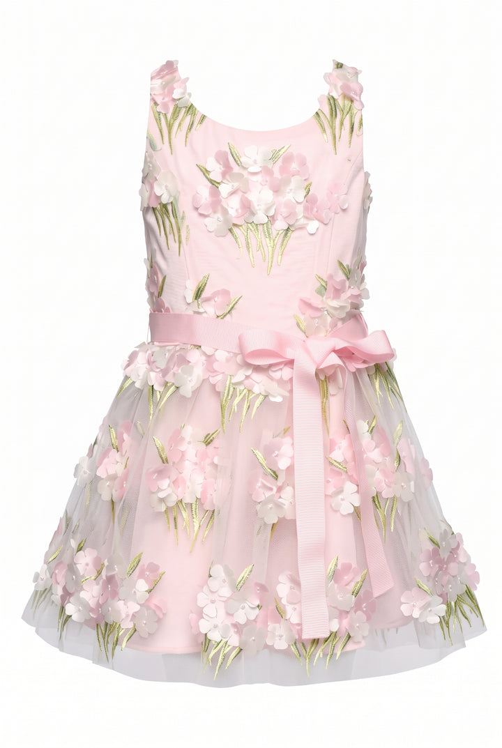 EMBROIDERED PARTY DRESS