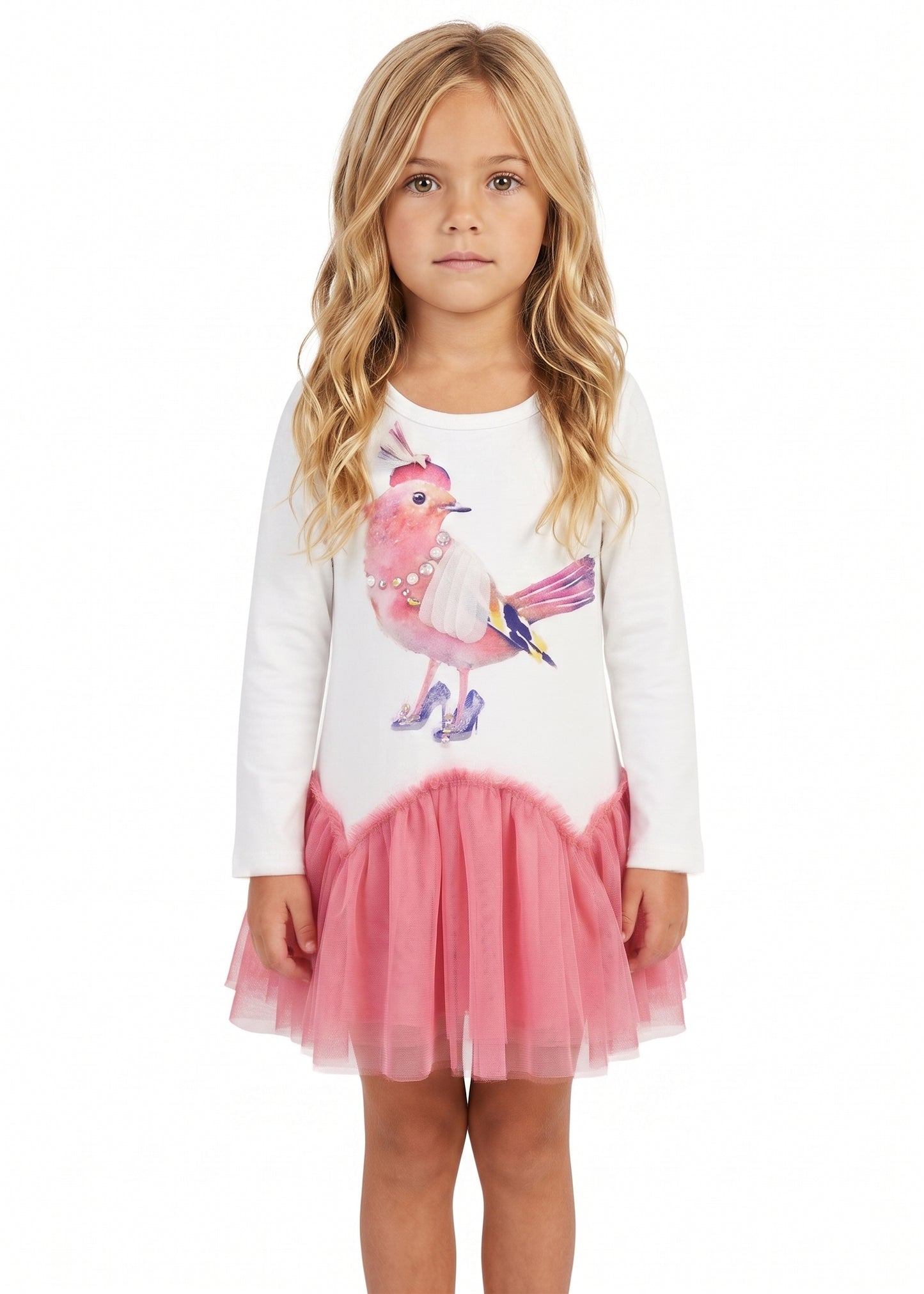 DROP WAIST DRESS WITH (FANCY BIRD) PRINT AND MESH SKIRT