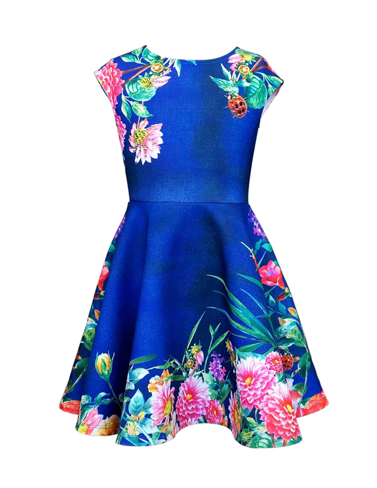 LADY BUG PRINTED SKATER DRESS