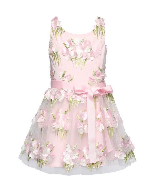 EMBROIDERED PARTY DRESS