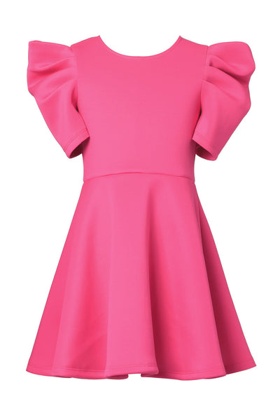 Hannah Banana Little Girl's Ruched Sleeve Skater Dress