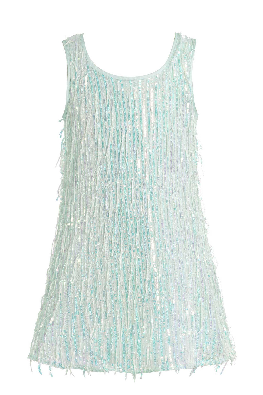 Girls Sleeveless Fancy Fringe Sequin Party Dress