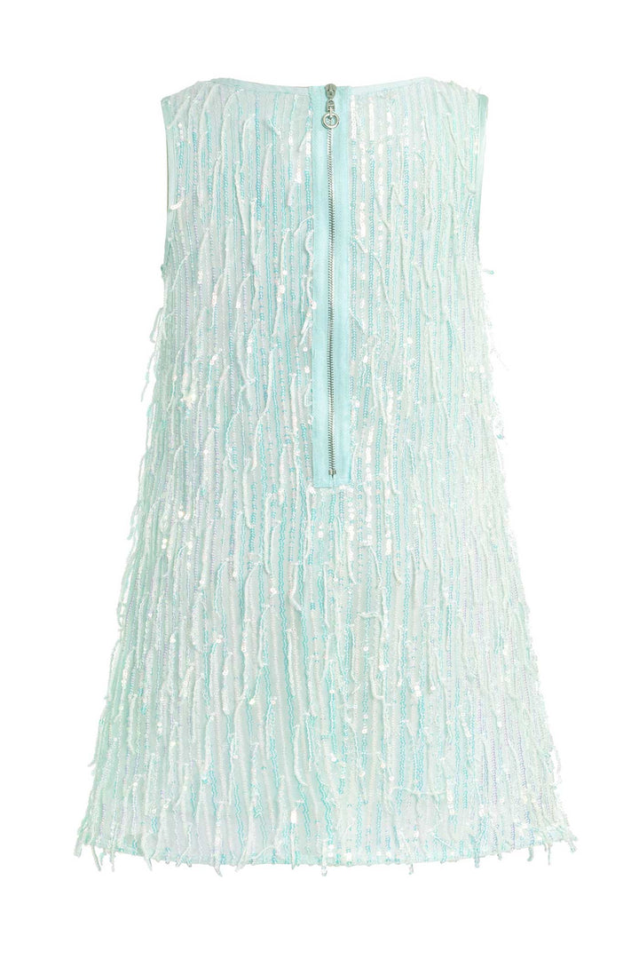 Girls Sleeveless Fancy Fringe Sequin Party Dress