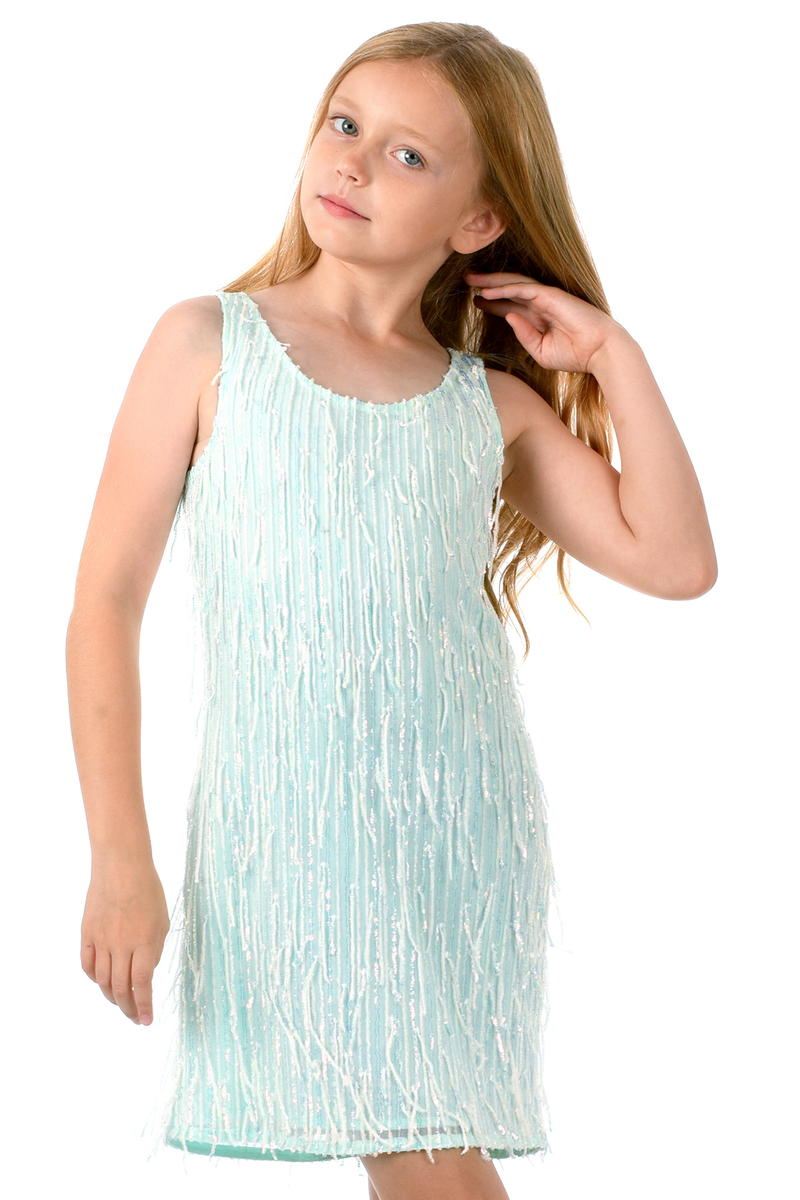 Girls Sleeveless Fancy Fringe Sequin Party Dress